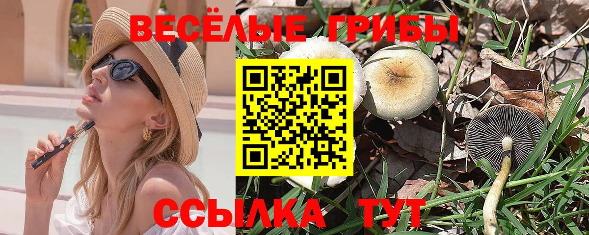 Галлюциногенные грибы мухоморы Волжский